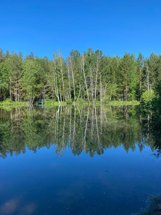 Forest And Lake Borovoe Luaran gambar